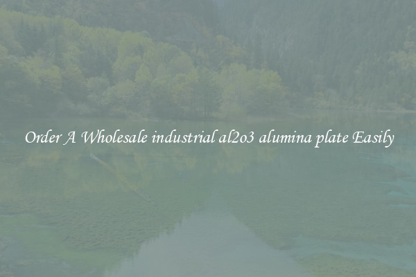 Order A Wholesale industrial al2o3 alumina plate Easily