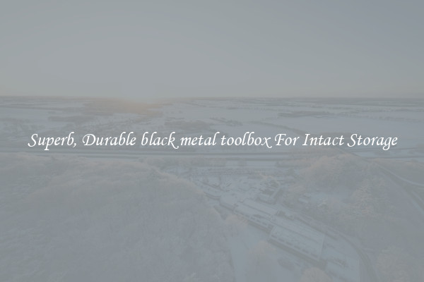 Superb, Durable black metal toolbox For Intact Storage