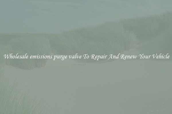 Wholesale emissions purge valve To Repair And Renew Your Vehicle