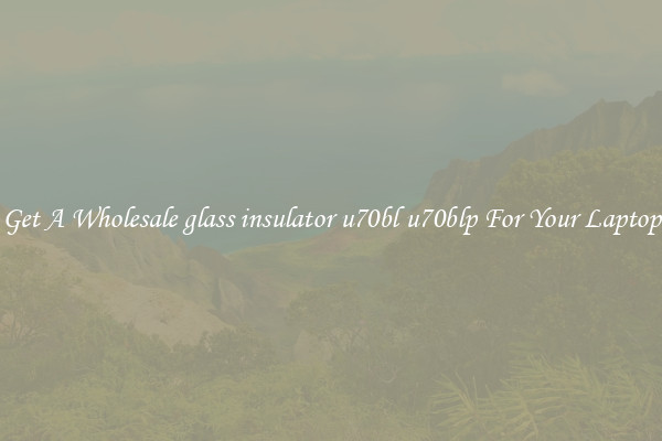 Get A Wholesale glass insulator u70bl u70blp For Your Laptop