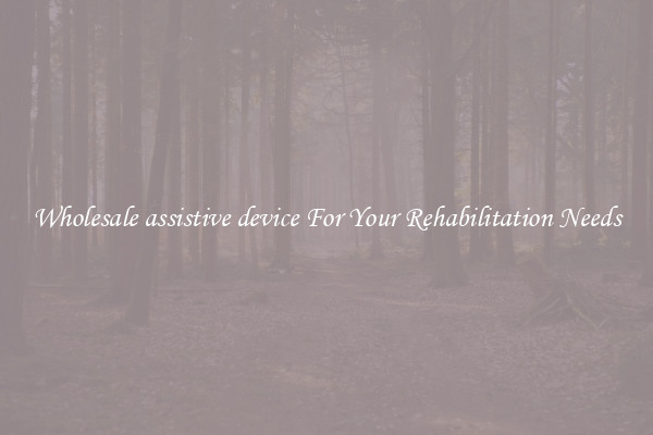 Wholesale assistive device For Your Rehabilitation Needs