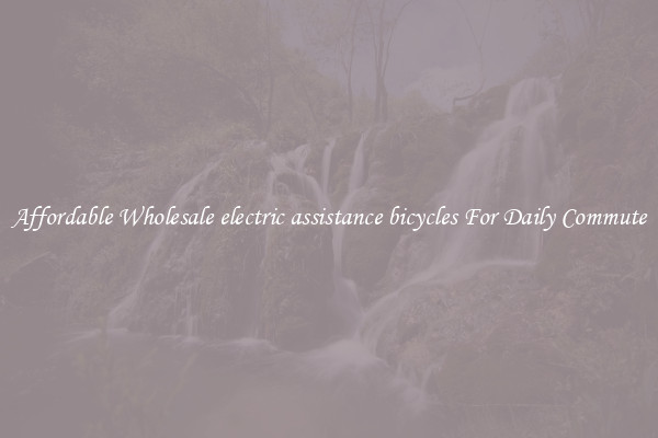 Affordable Wholesale electric assistance bicycles For Daily Commute