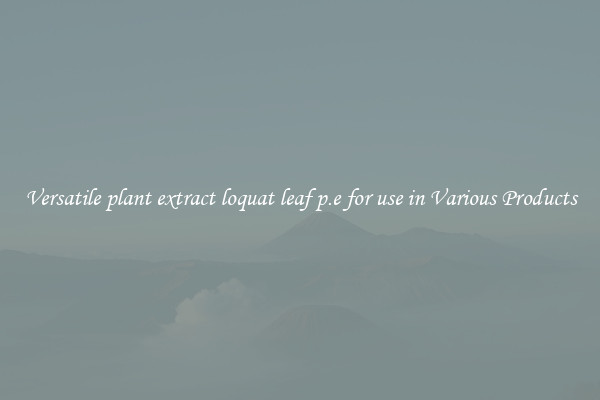 Versatile plant extract loquat leaf p.e for use in Various Products