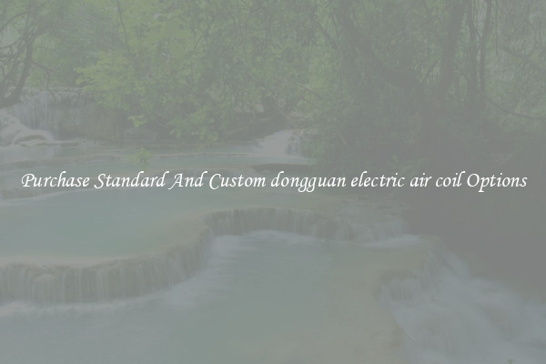 Purchase Standard And Custom dongguan electric air coil Options