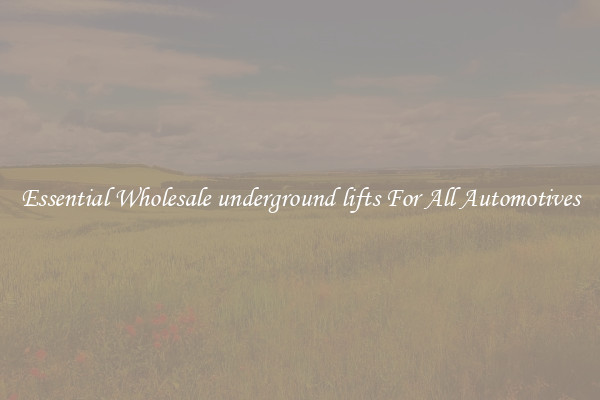 Essential Wholesale underground lifts For All Automotives