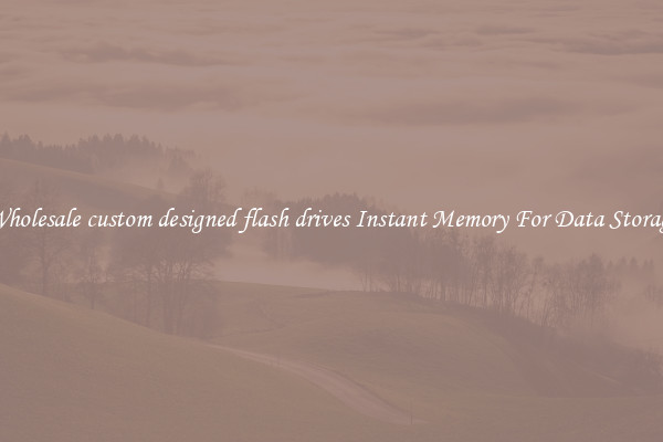 Wholesale custom designed flash drives Instant Memory For Data Storage