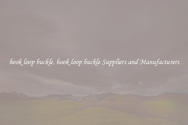 hook loop buckle, hook loop buckle Suppliers and Manufacturers