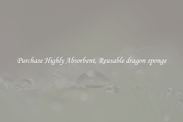 Purchase Highly Absorbent, Reusable dragon sponge