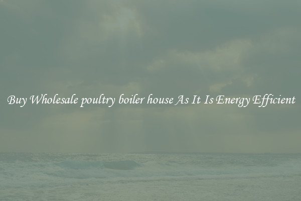 Buy Wholesale poultry boiler house As It Is Energy Efficient