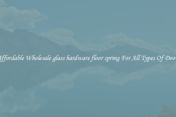 Affordable Wholesale glass hardware floor spring For All Types Of Doors