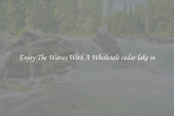 Enjoy The Waves With A Wholesale cedar lake in