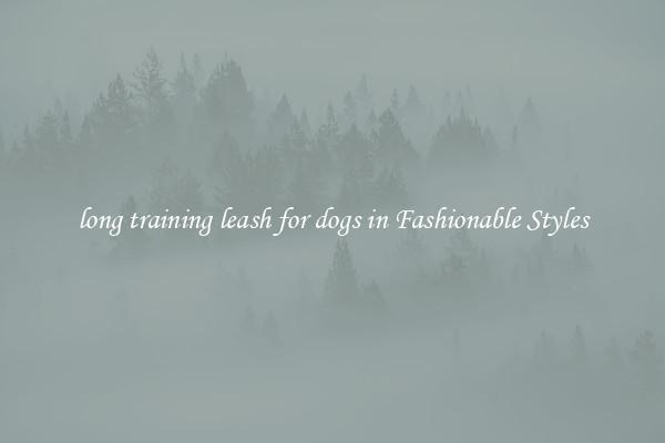 long training leash for dogs in Fashionable Styles