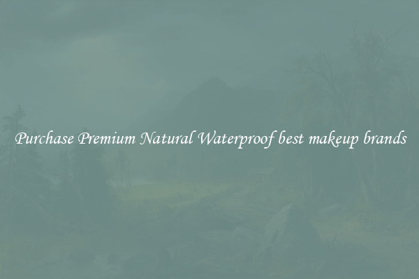 Purchase Premium Natural Waterproof best makeup brands