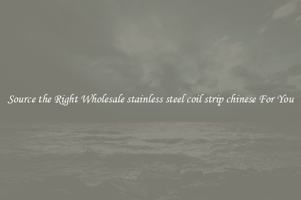 Source the Right Wholesale stainless steel coil strip chinese For You