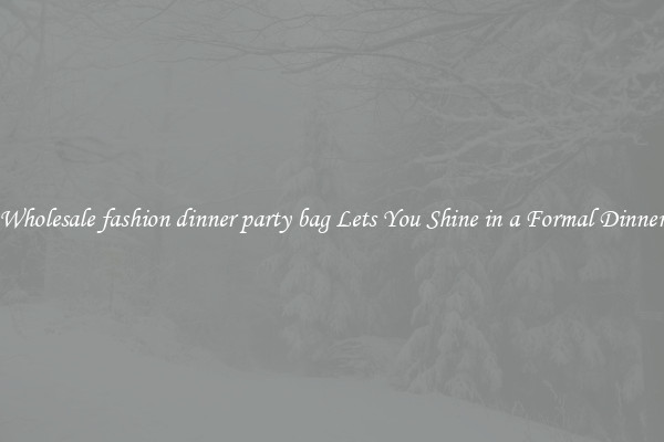 Wholesale fashion dinner party bag Lets You Shine in a Formal Dinner